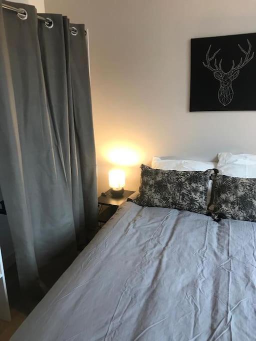 Bel Appartement 6P Tours Centre Kültér fotó